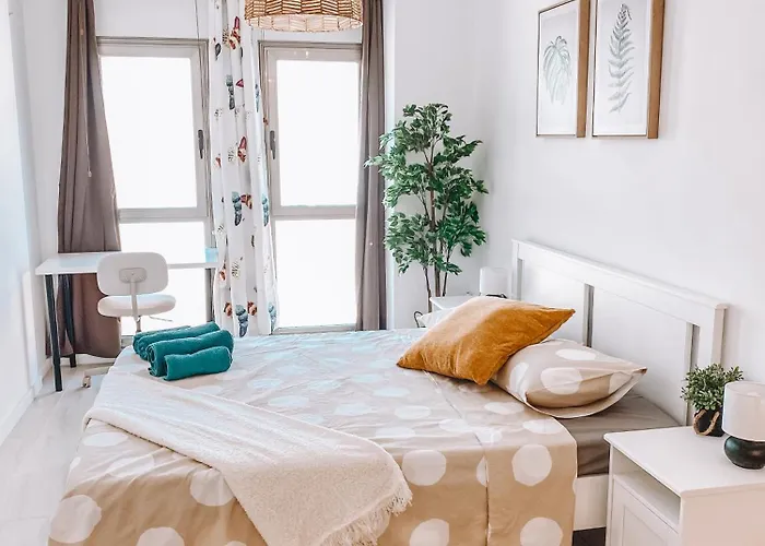 Summer Breeze * プエルト・デル・ロサリオ