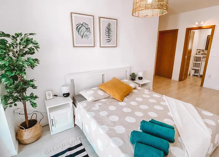 Summer Breeze アパート